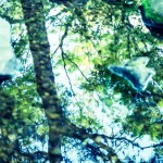 未来はあるのかな？【運命の恋】を長続きさせるために、忘れてはいけない6つの事